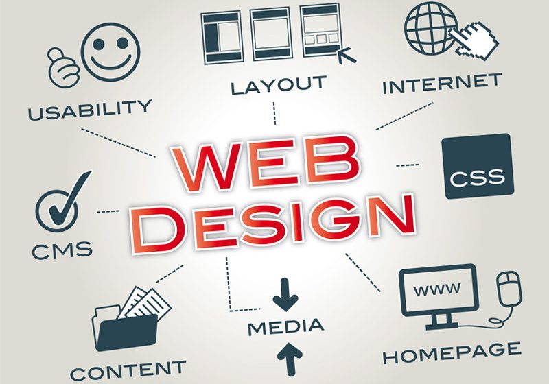 web tasarim ogrenmenin yolu novasta web tasarim